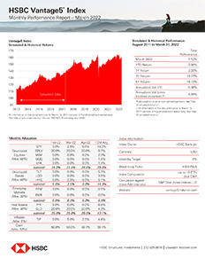 Vantage5 Performance Template (PDF)